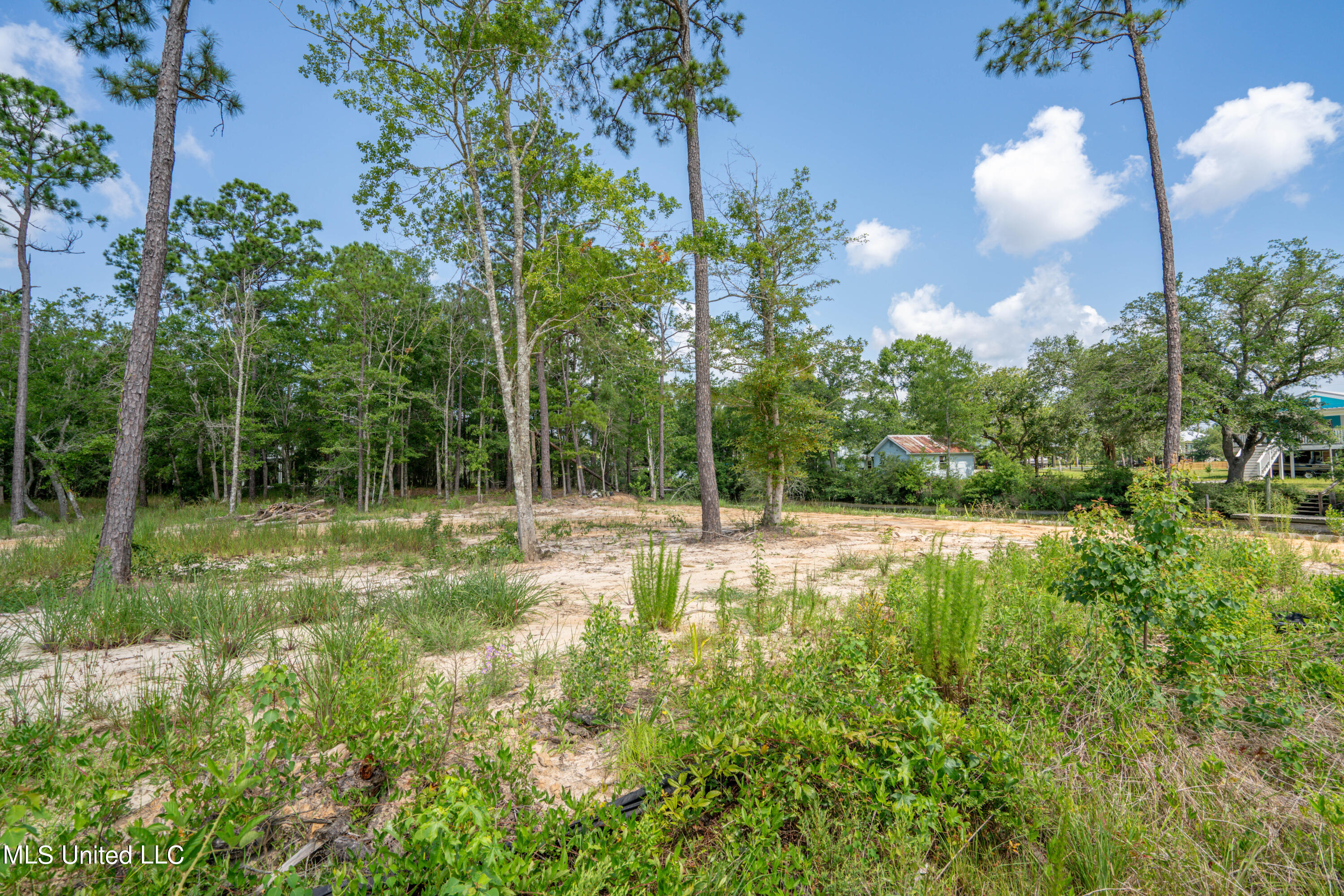 10083 Cain Road, Bay Saint Louis, Mississippi image 4