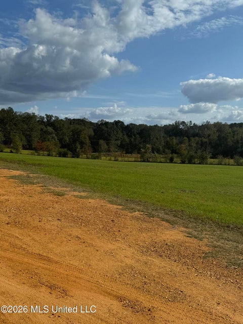 Vacant Land For Sale - XXXX Twin Oaks<br/> McComb, MS 39648
