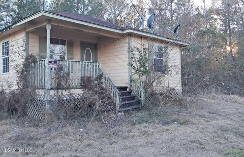 Homes For Sale - 30 County Road 371b<br/> Jasper County, Heidelberg, MS 39439