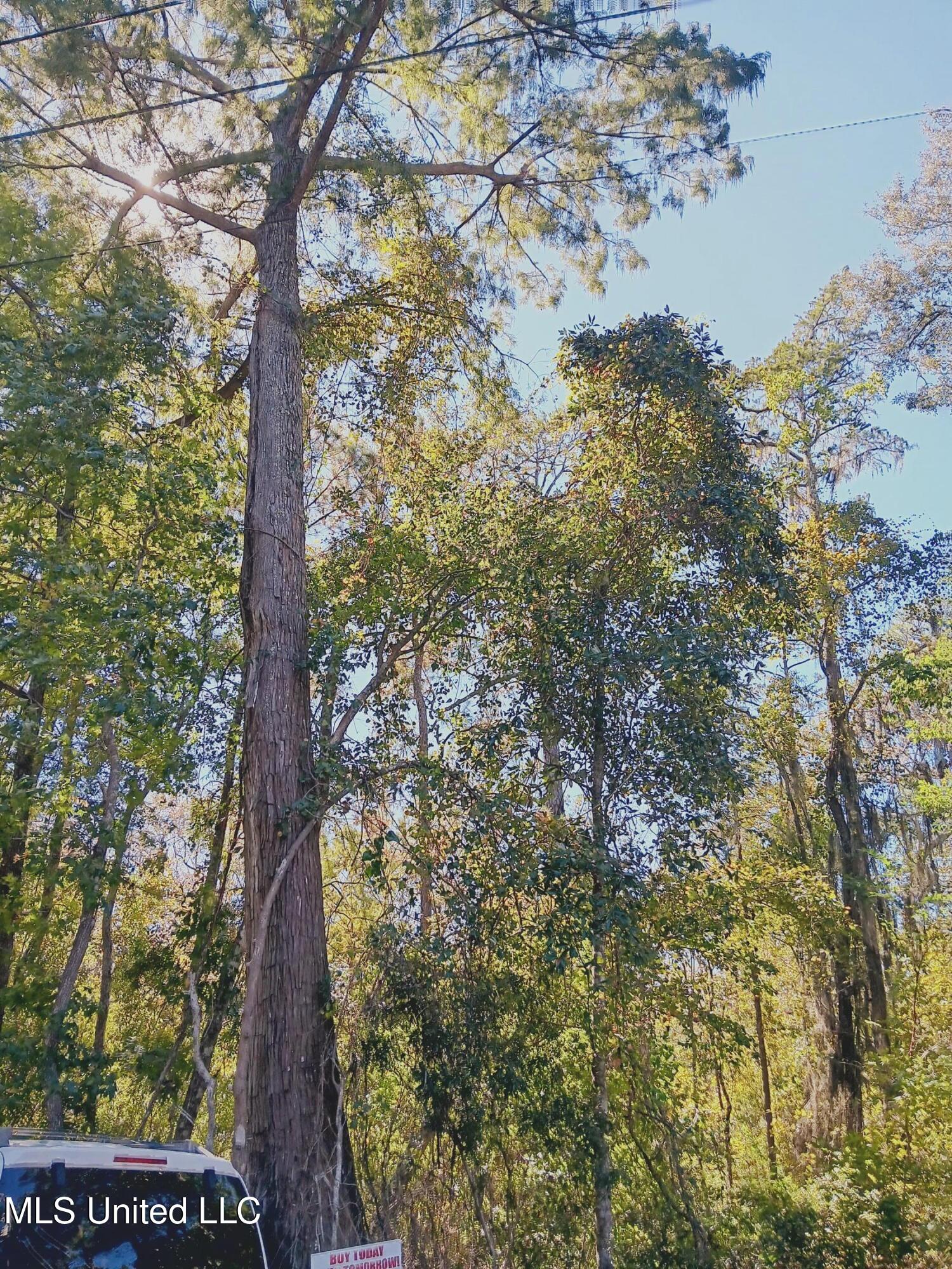 Riverroad Drive, Gulfport, Mississippi image 1