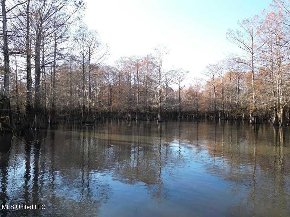 18000 Pushepatappa Cut Off Road, Bogalusa, Louisiana image 7