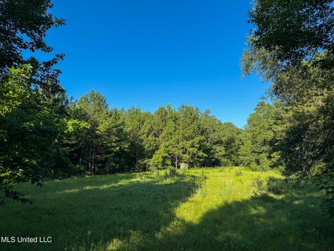 Vacant Land For Sale - 275+/- J M Burge Road<br/> Lamar County, Hattiesburg, MS 39402
