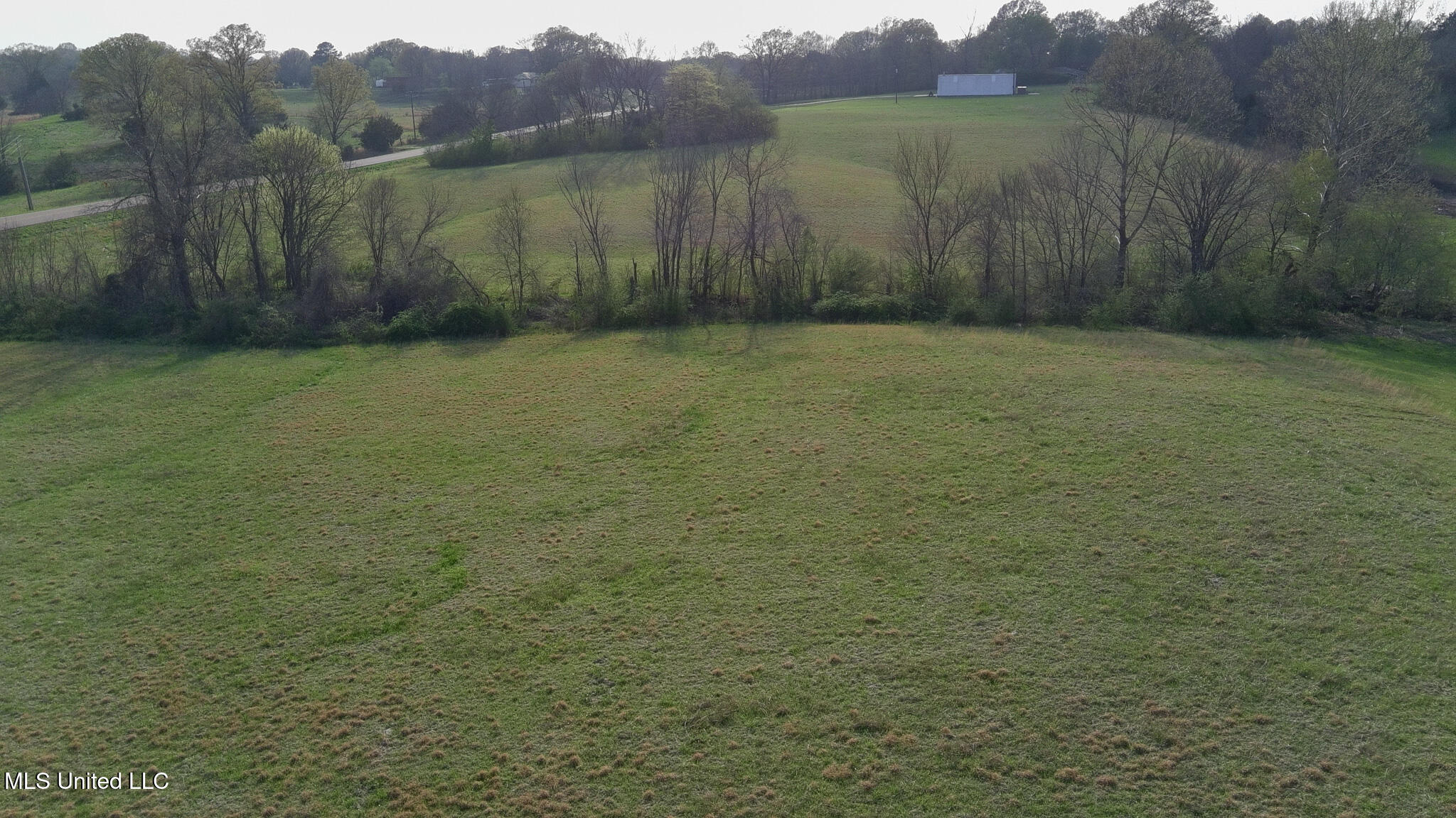 Sycamore Road, Coldwater, Mississippi image 4
