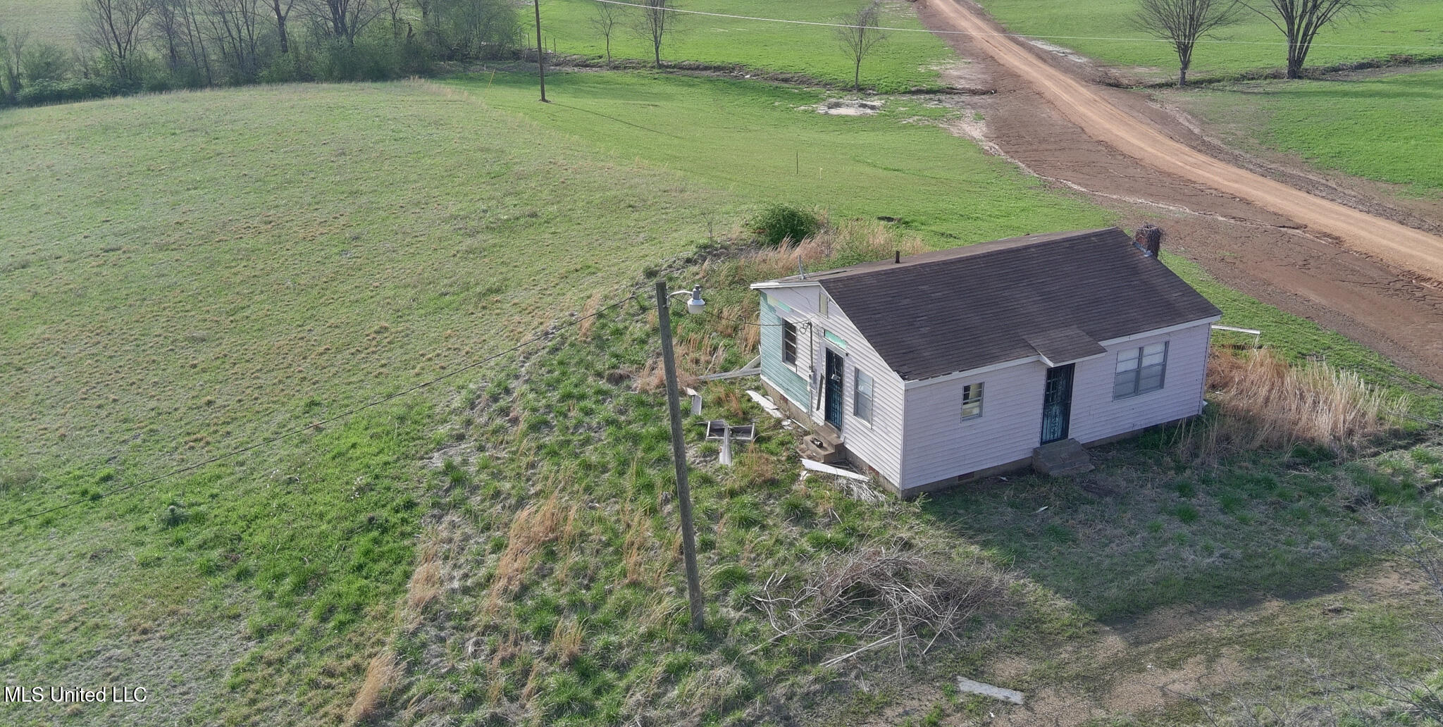 Sycamore Road, Coldwater, Mississippi image 3