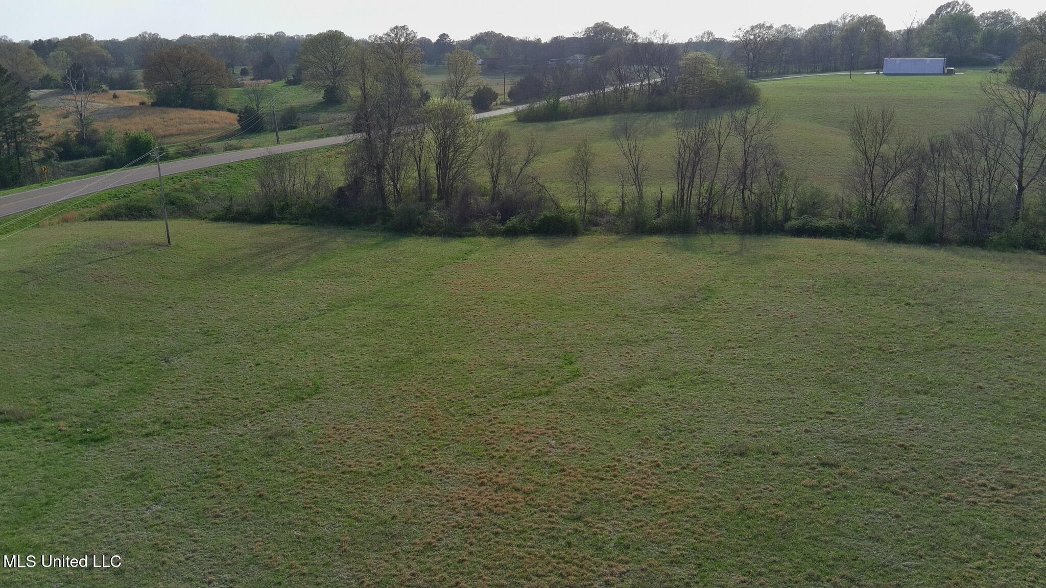 Sycamore Road, Coldwater, Mississippi image 5