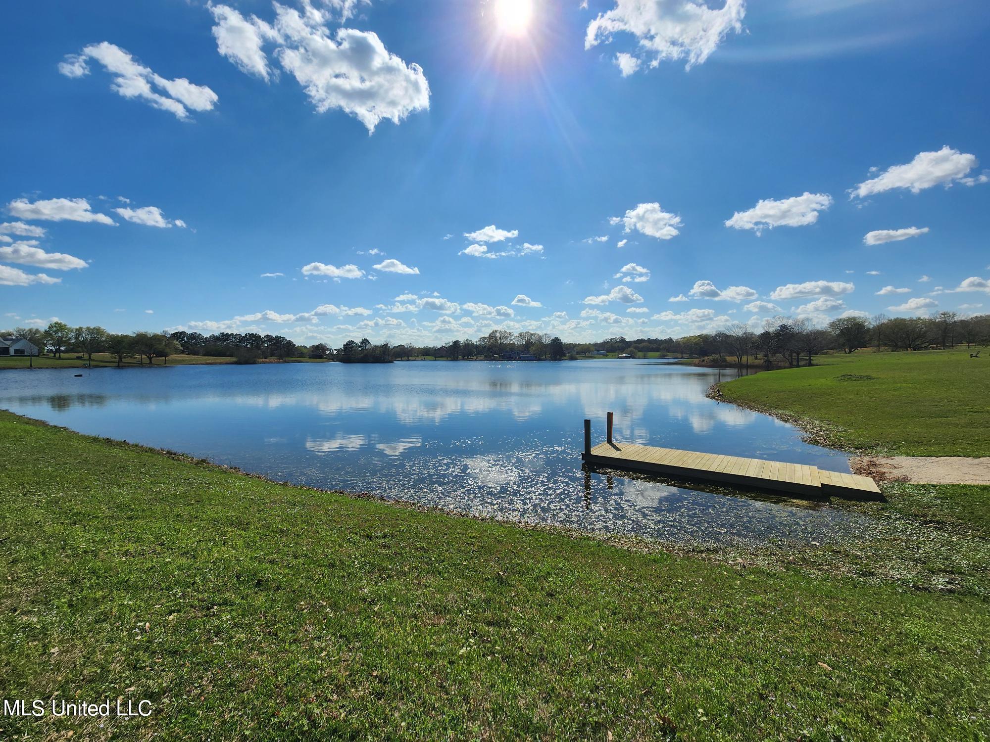 Tbd Anastatsia Drive, Carriere, Mississippi image 9