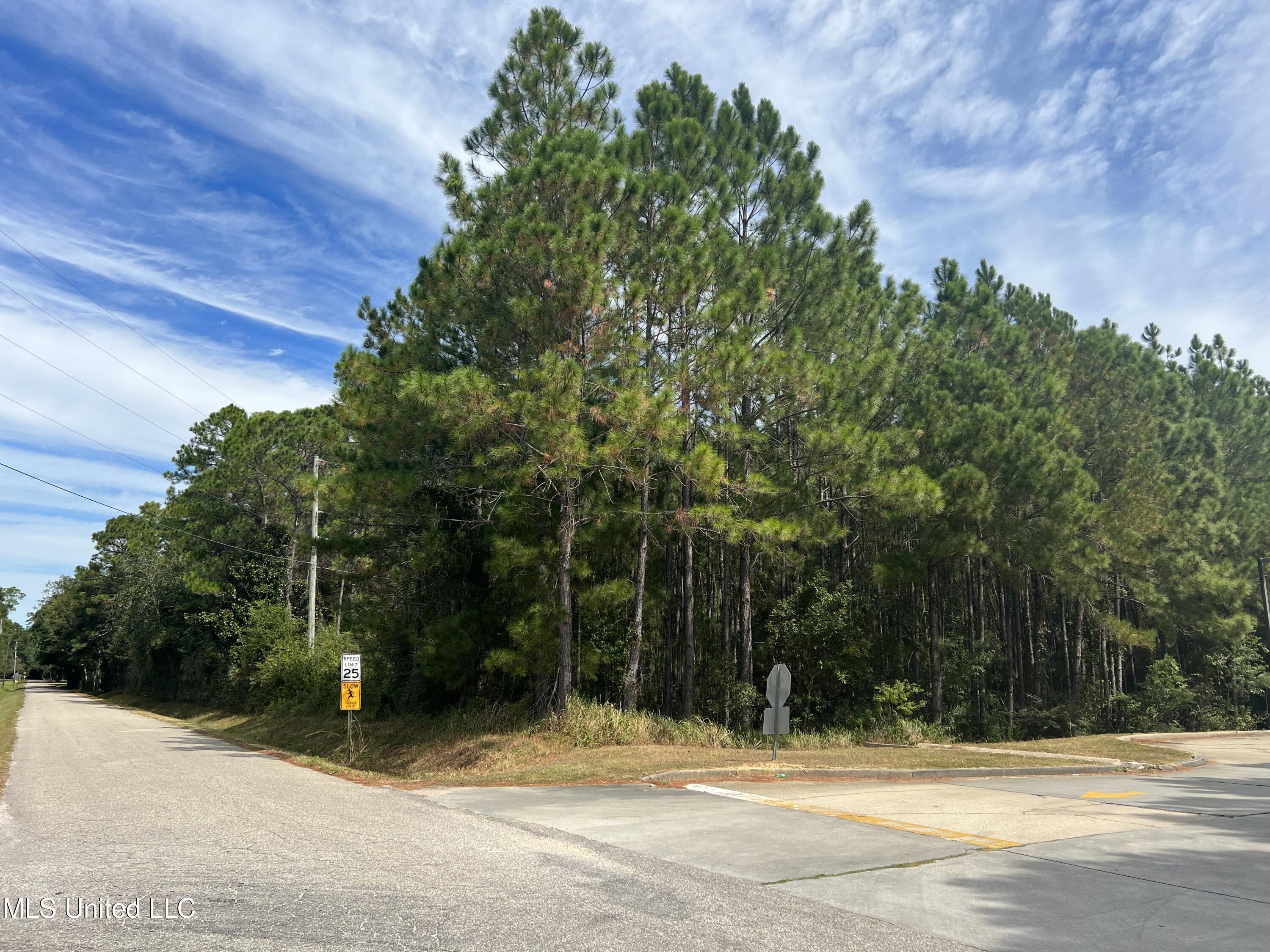 Townsend Road, Gautier, Mississippi image 2