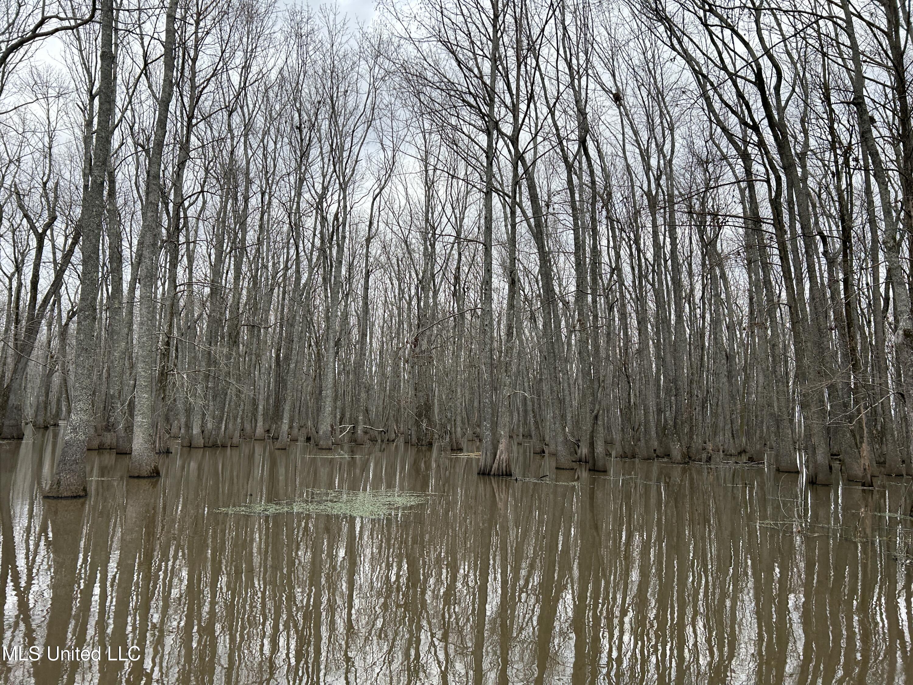 Dawson Road, Tchula, Mississippi image 6