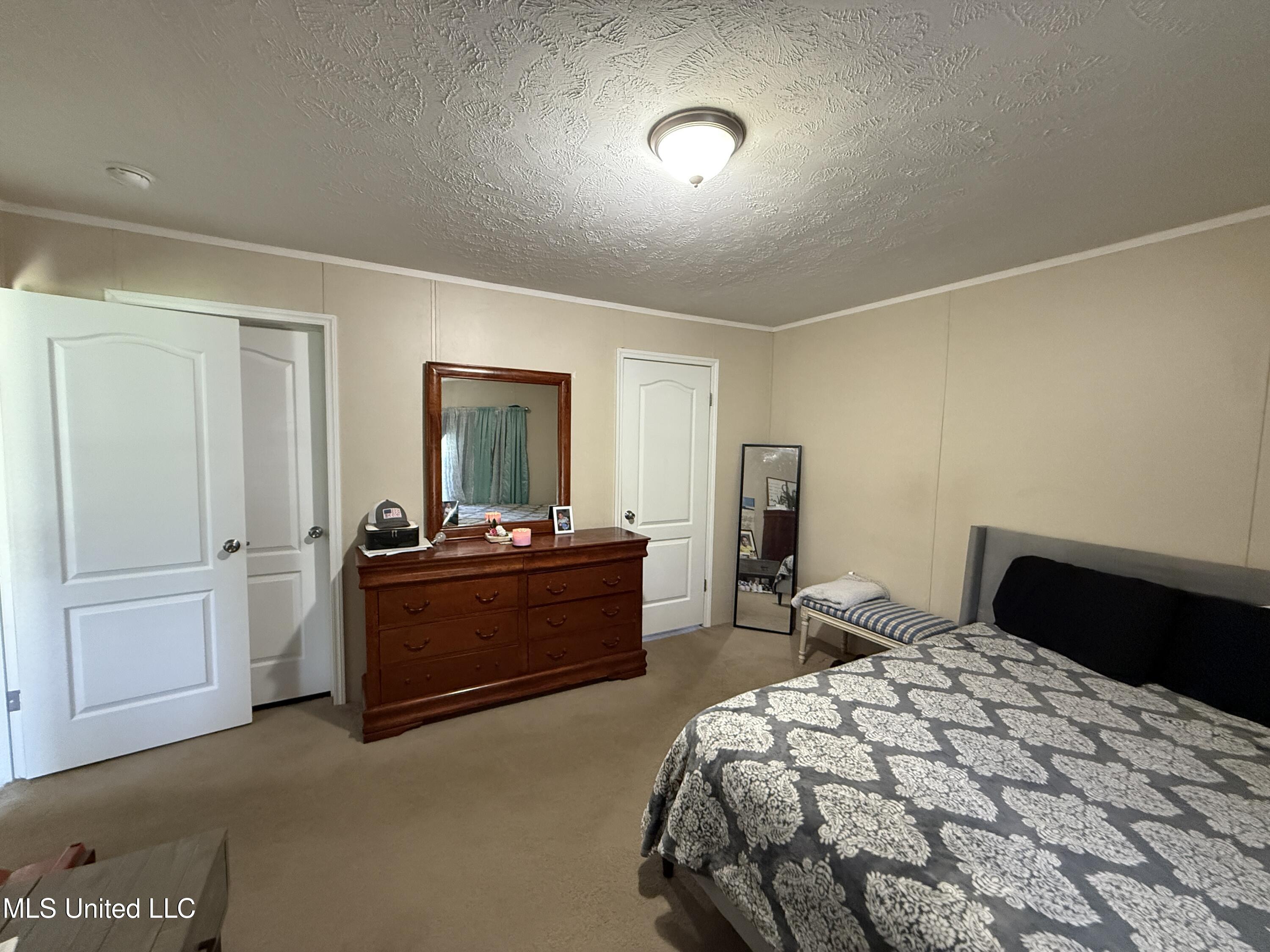 9250 Pleasant Hill Road, Carthage, Mississippi image 10