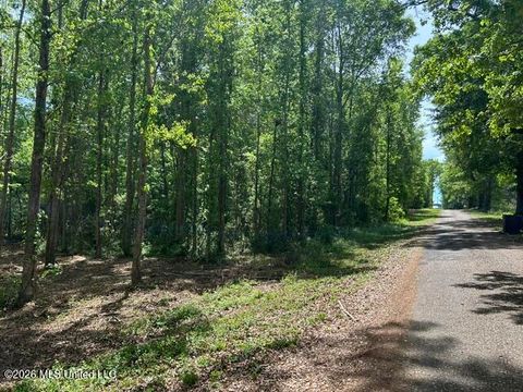 Vacant Land For Sale - PARCEL 4 Stovall Lane<br/> Pike County, Summit, MS 39666