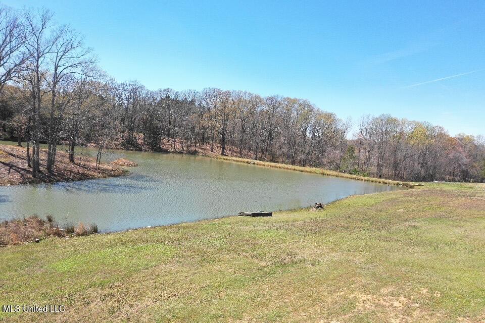 14491 Valley View Cove, Byhalia, Mississippi image 15