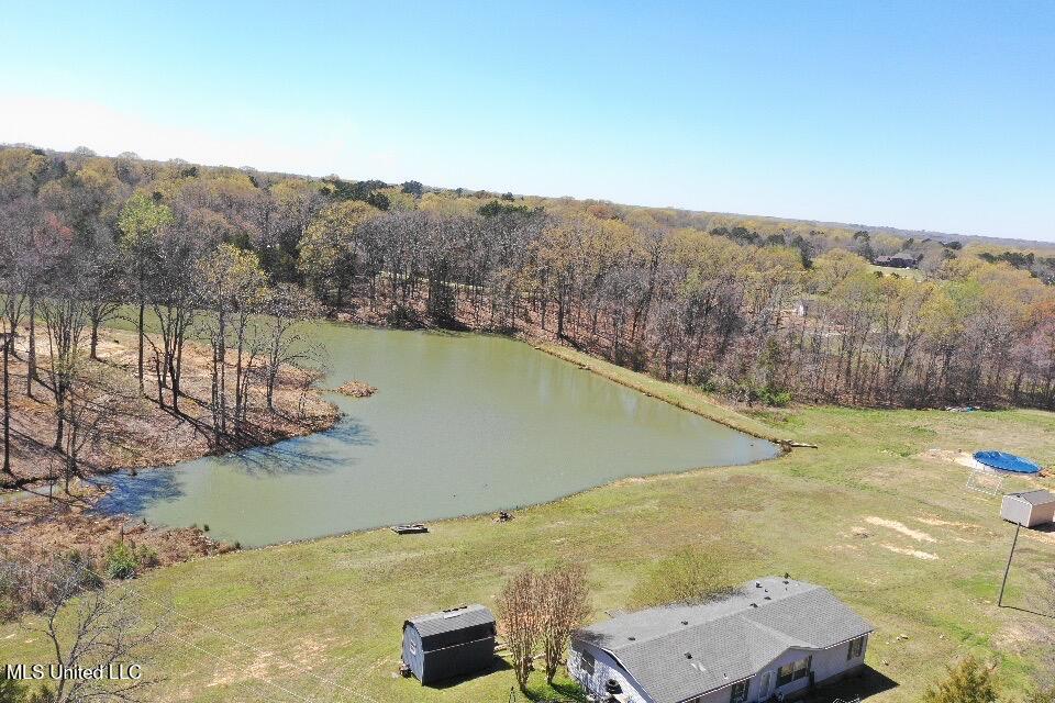 14491 Valley View Cove, Byhalia, Mississippi image 4