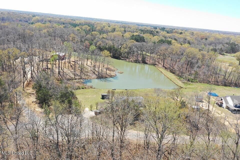 14491 Valley View Cove, Byhalia, Mississippi image 2