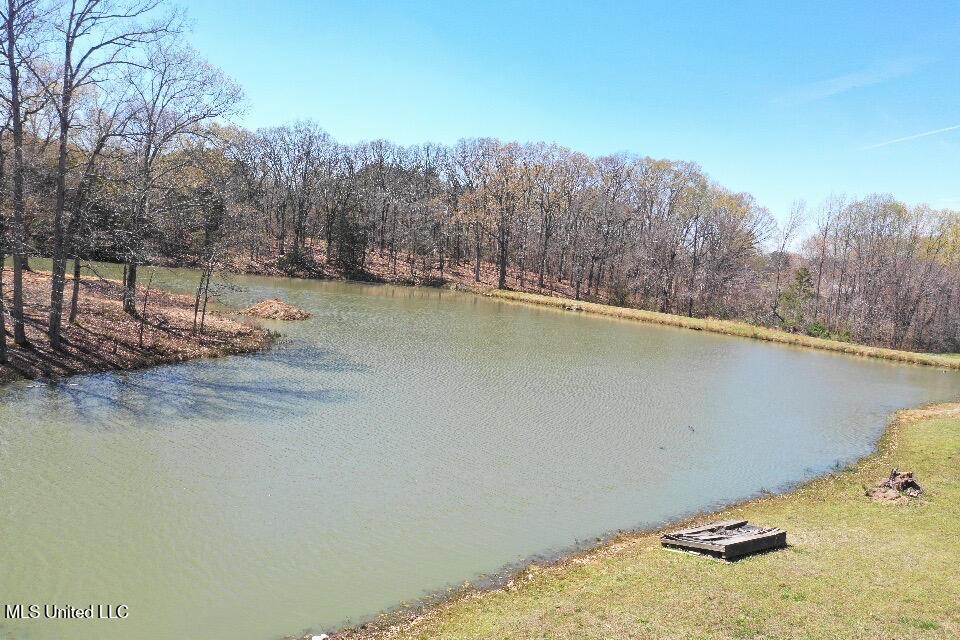 14491 Valley View Cove, Byhalia, Mississippi image 14