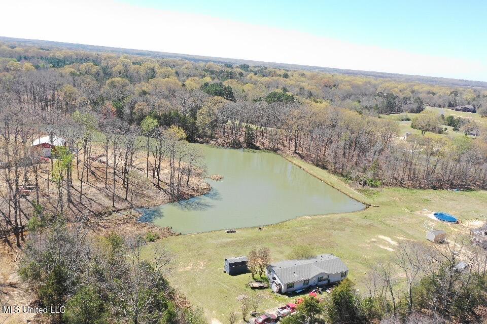 14491 Valley View Cove, Byhalia, Mississippi image 3