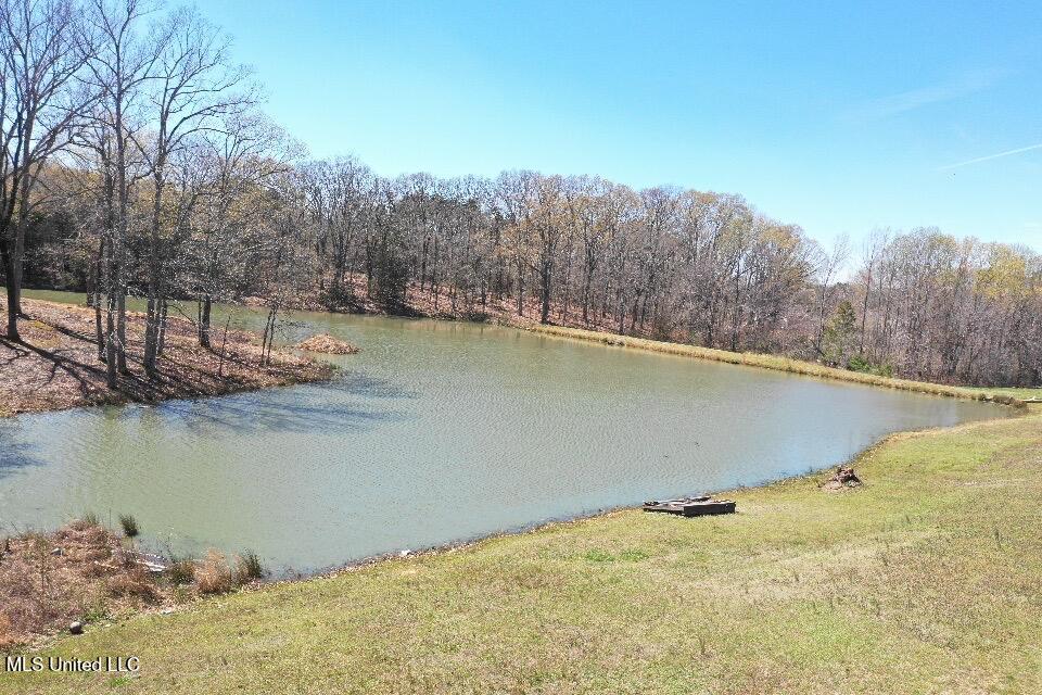 14491 Valley View Cove, Byhalia, Mississippi image 13
