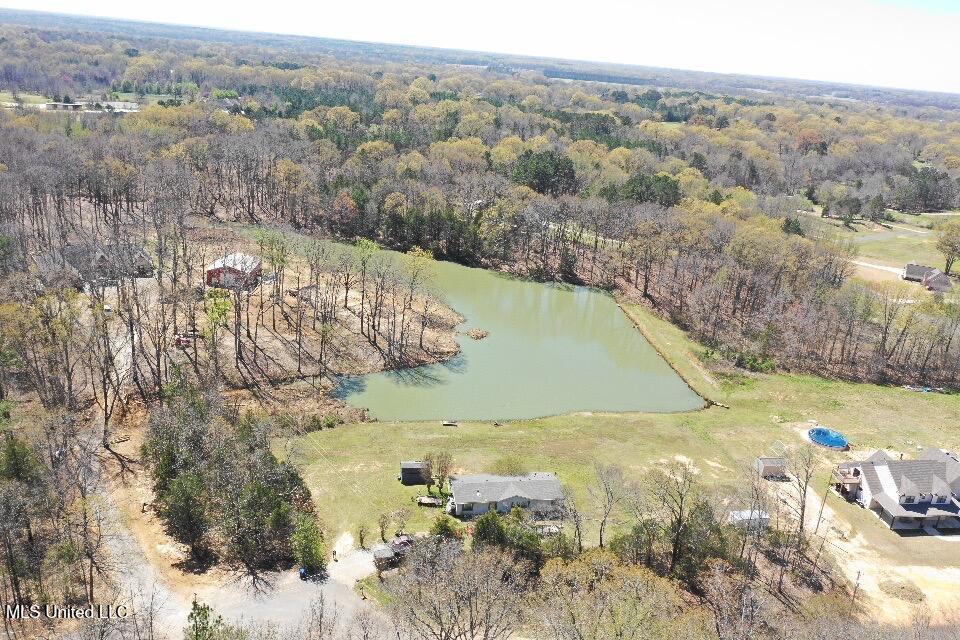 14491 Valley View Cove, Byhalia, Mississippi image 5