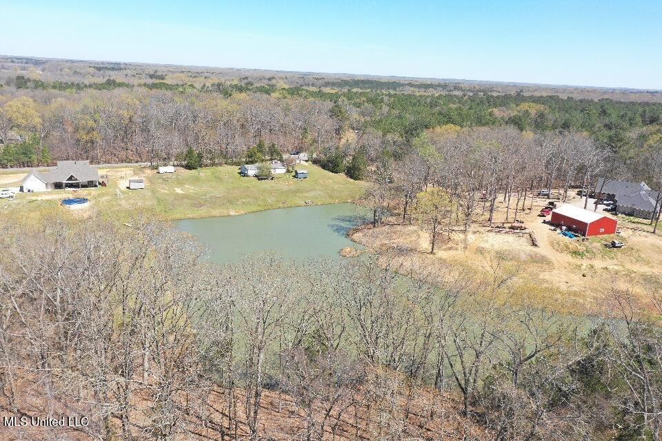 14491 Valley View Cove, Byhalia, Mississippi image 9