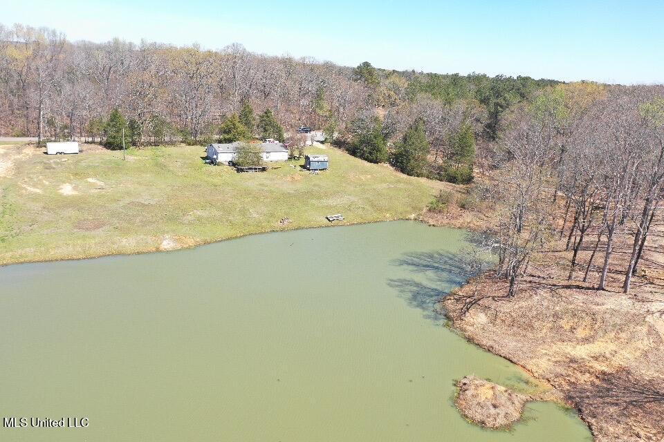 14491 Valley View Cove, Byhalia, Mississippi image 11