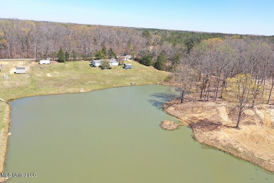 14491 Valley View Cove, Byhalia, Mississippi image 12
