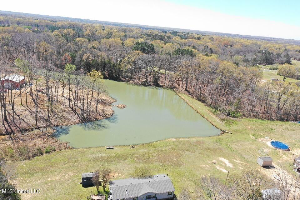 14491 Valley View Cove, Byhalia, Mississippi image 6