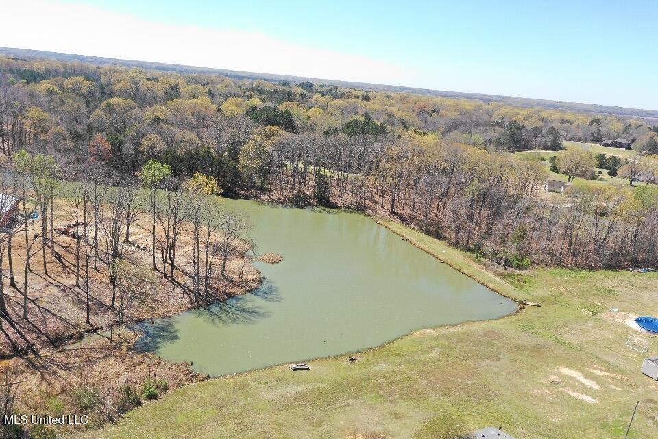 14491 Valley View Cove, Byhalia, Mississippi image 10