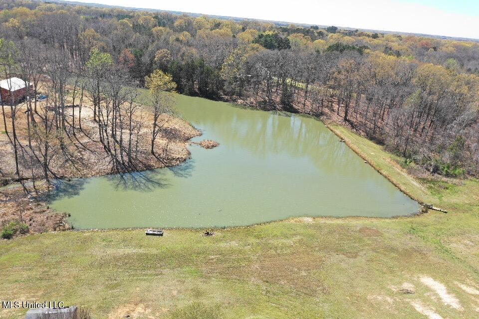 14491 Valley View Cove, Byhalia, Mississippi image 7