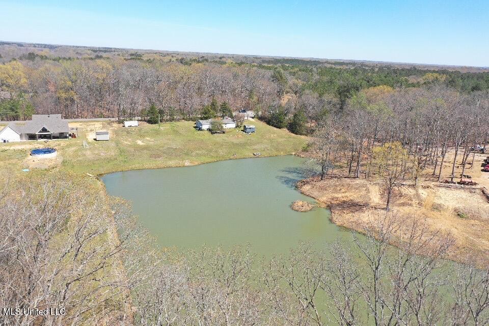 14491 Valley View Cove, Byhalia, Mississippi image 8