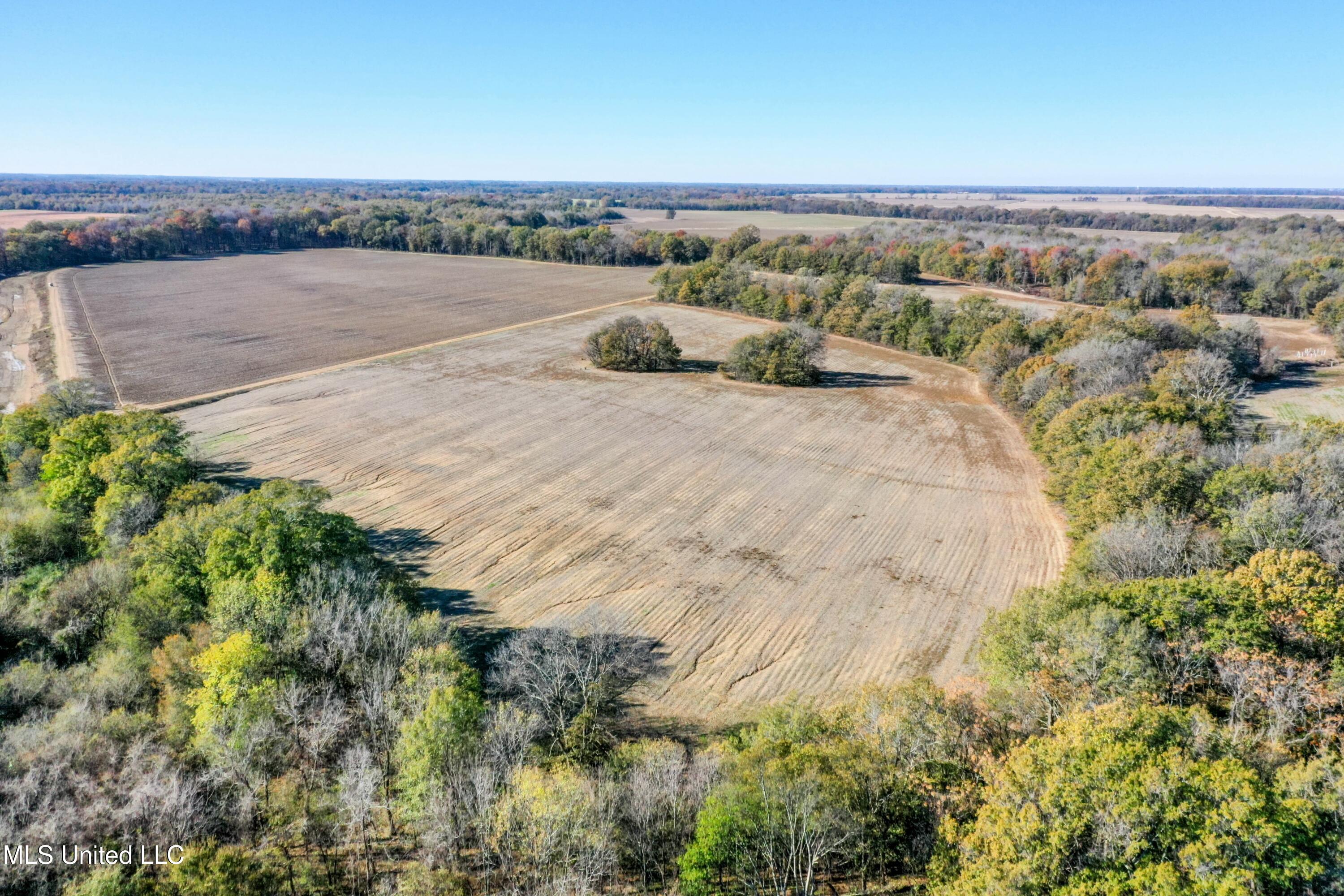 Long Road, Ruleville, Mississippi image 12