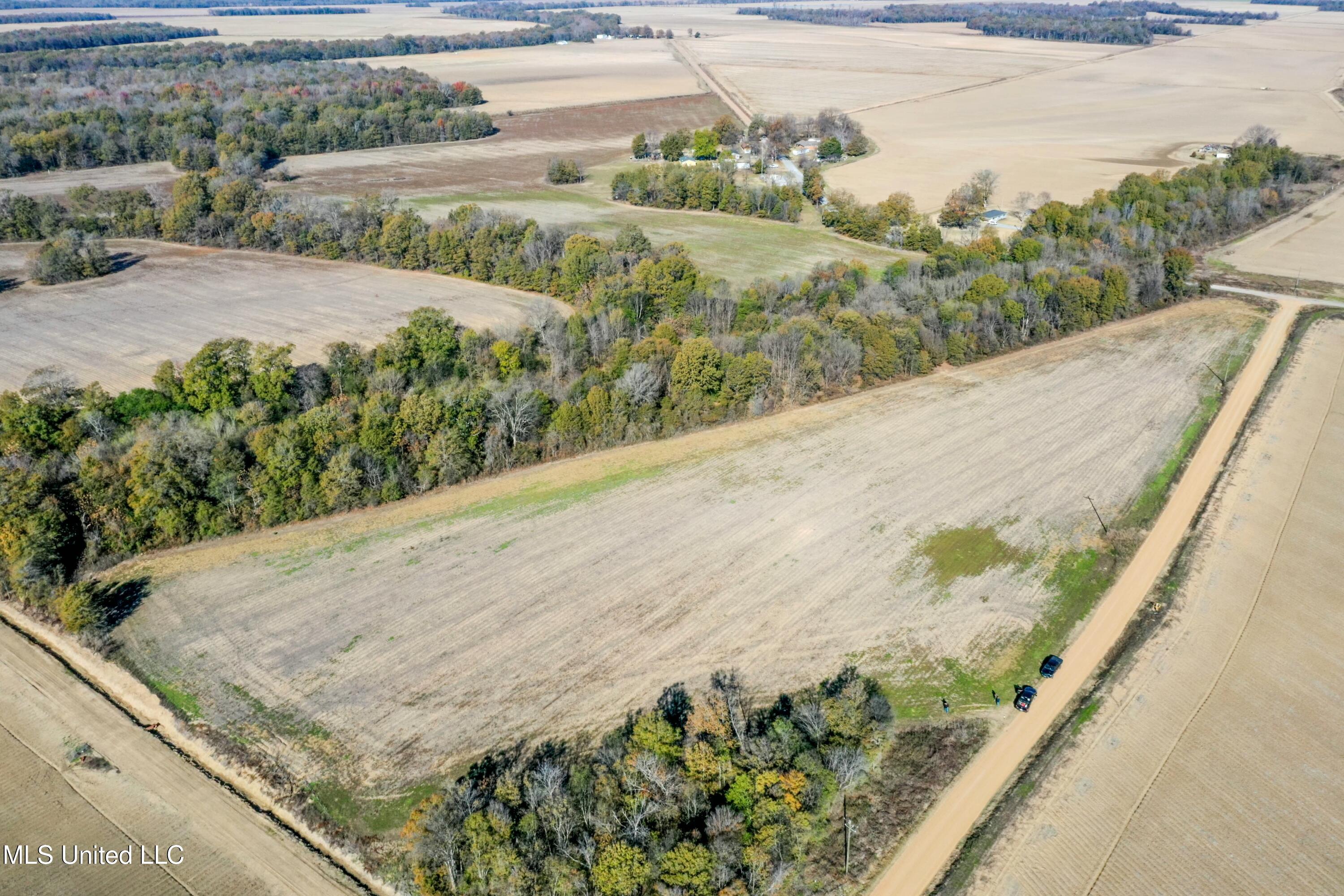 Long Road, Ruleville, Mississippi image 6