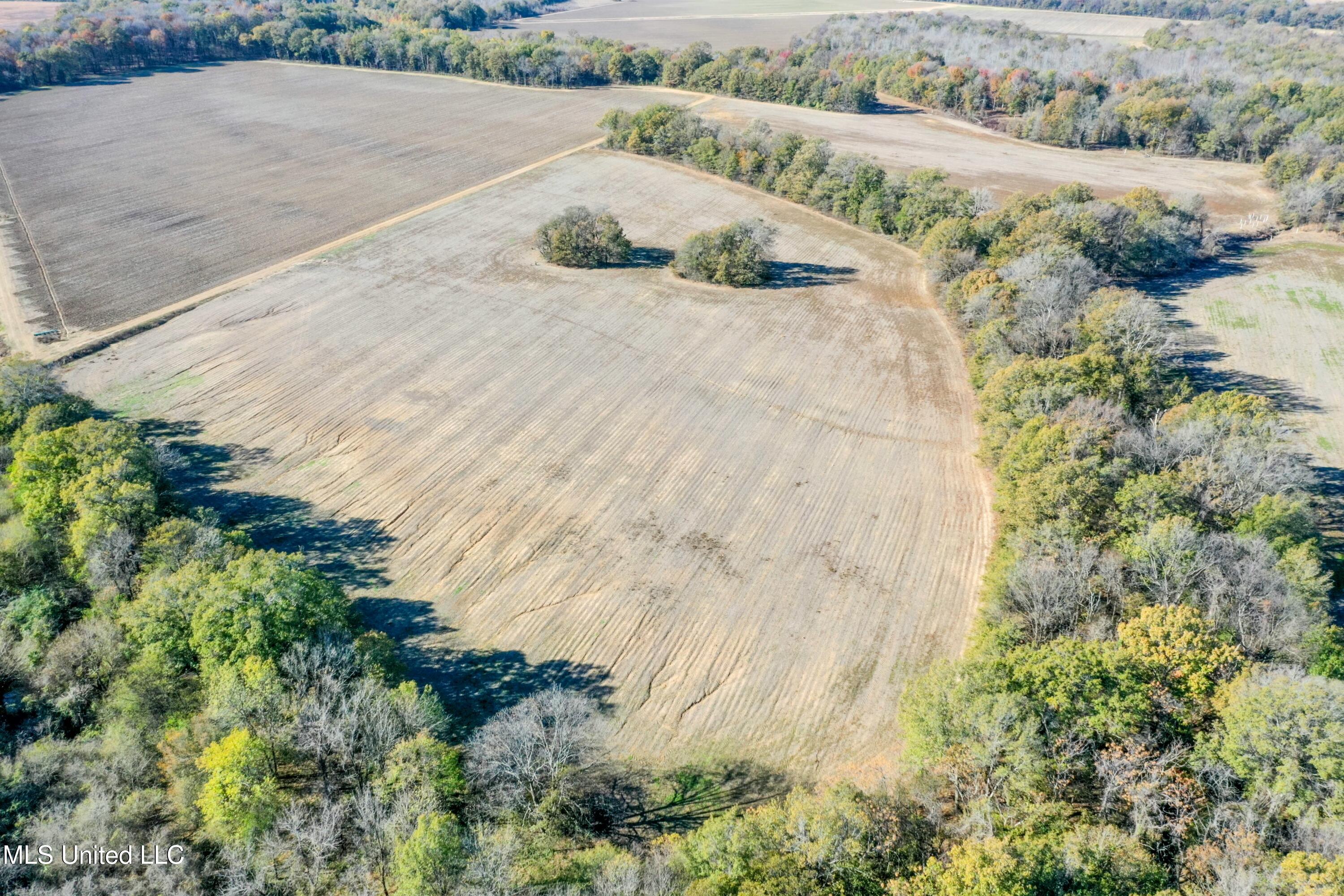 Long Road, Ruleville, Mississippi image 8