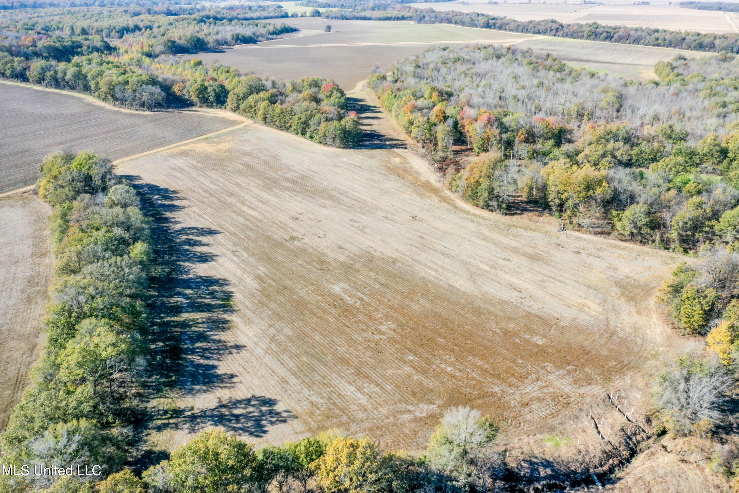 Long Road, Ruleville, Mississippi image 9