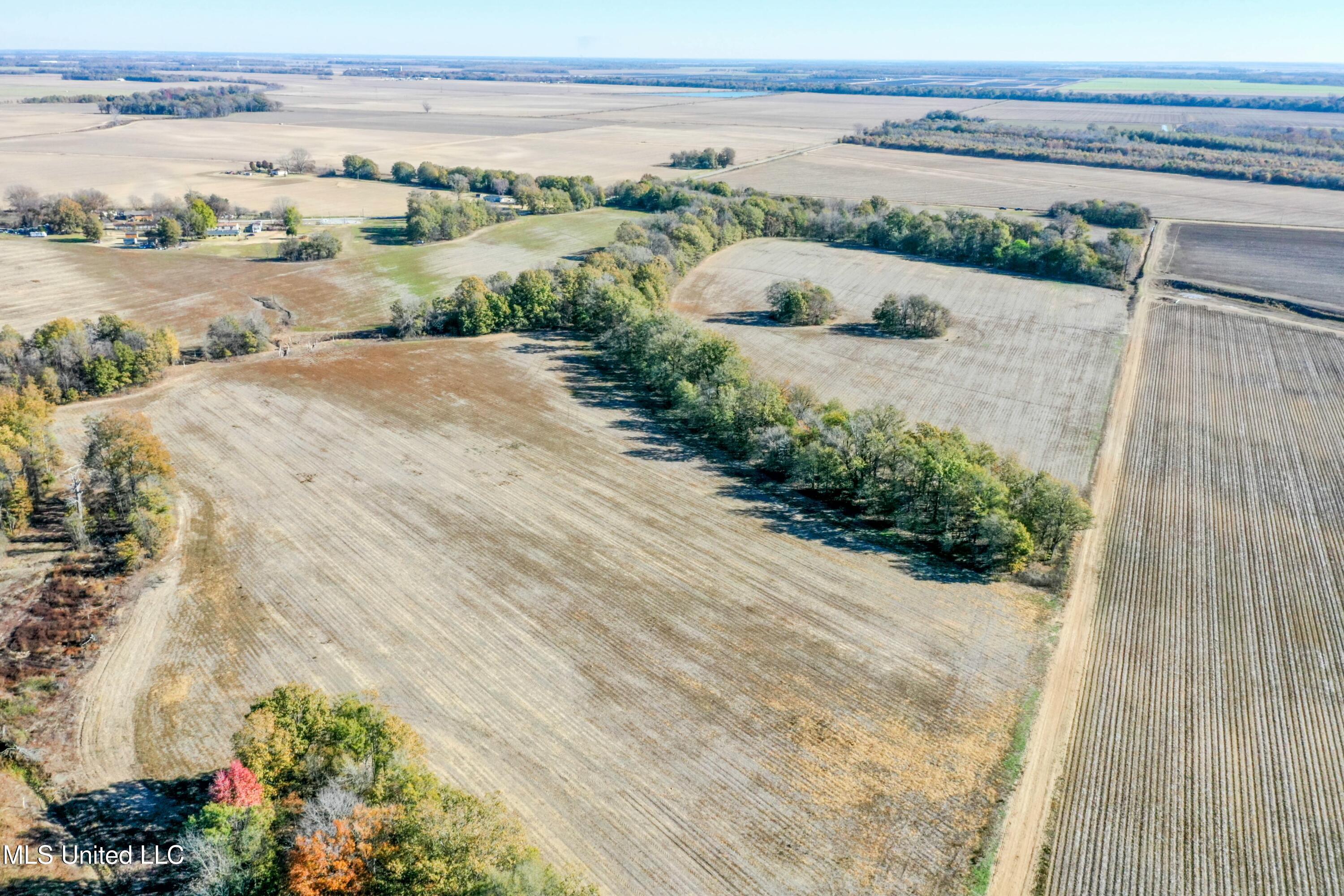 Long Road, Ruleville, Mississippi image 10