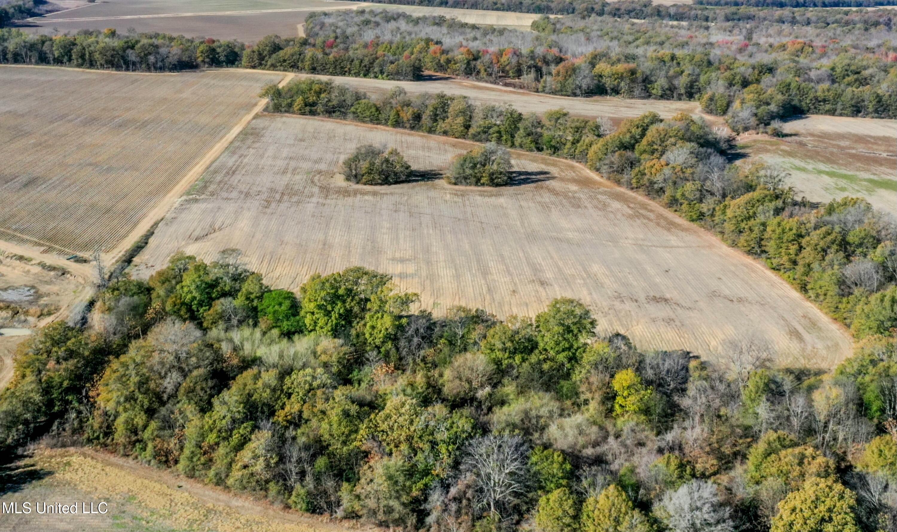 Long Road, Ruleville, Mississippi image 7