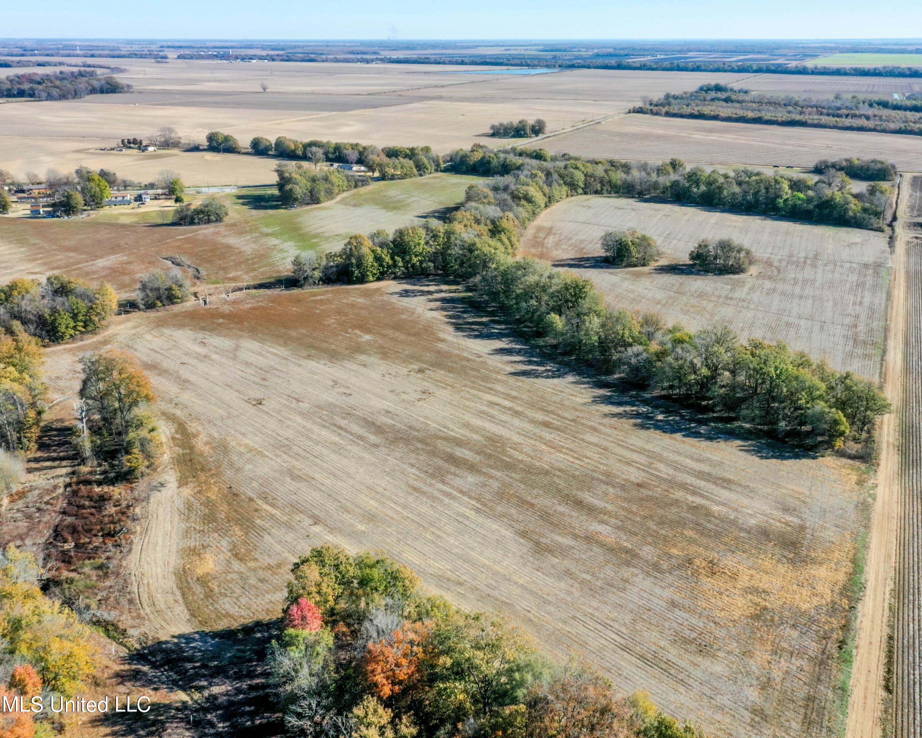 Long Road, Ruleville, Mississippi image 1