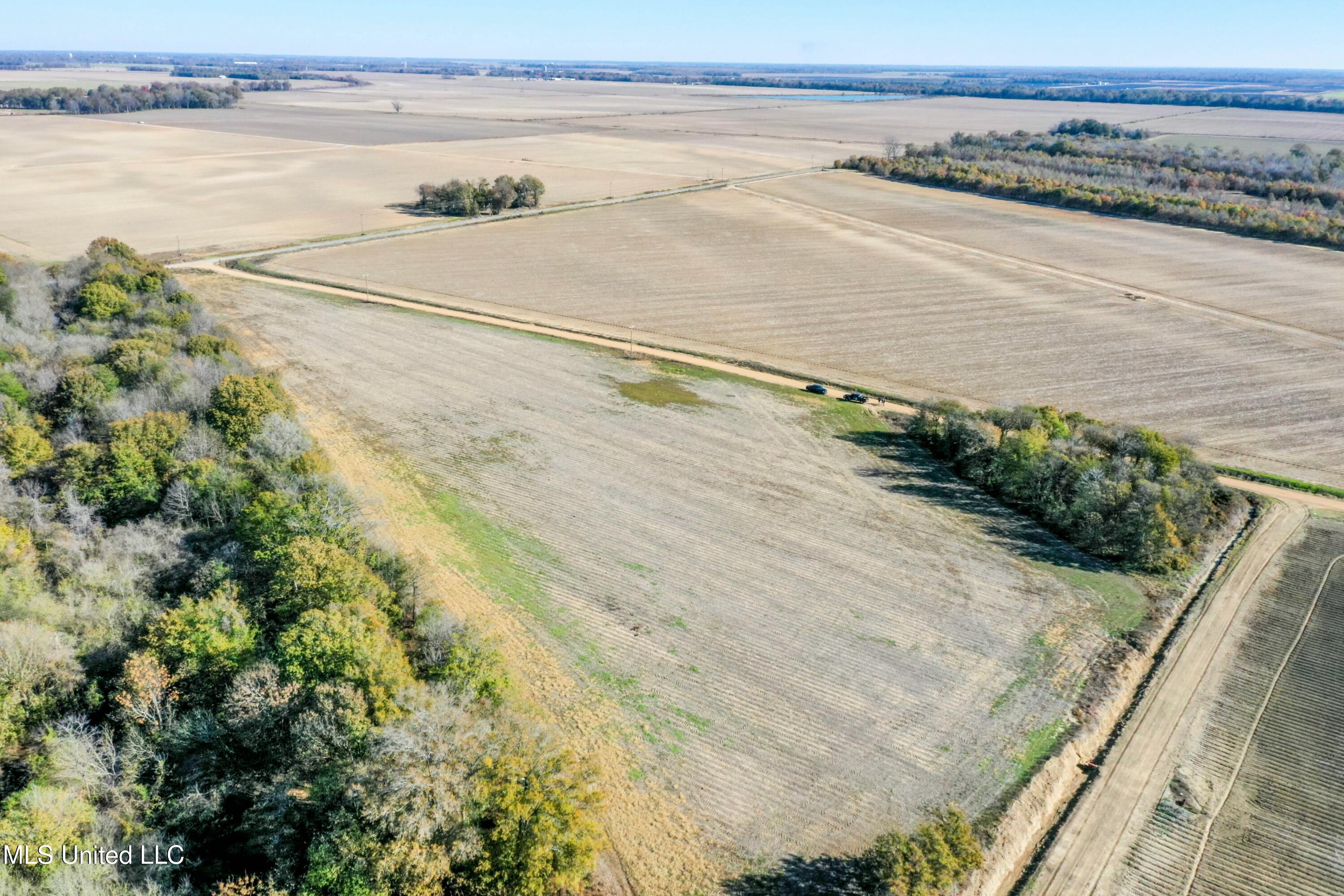 Long Road, Ruleville, Mississippi image 11