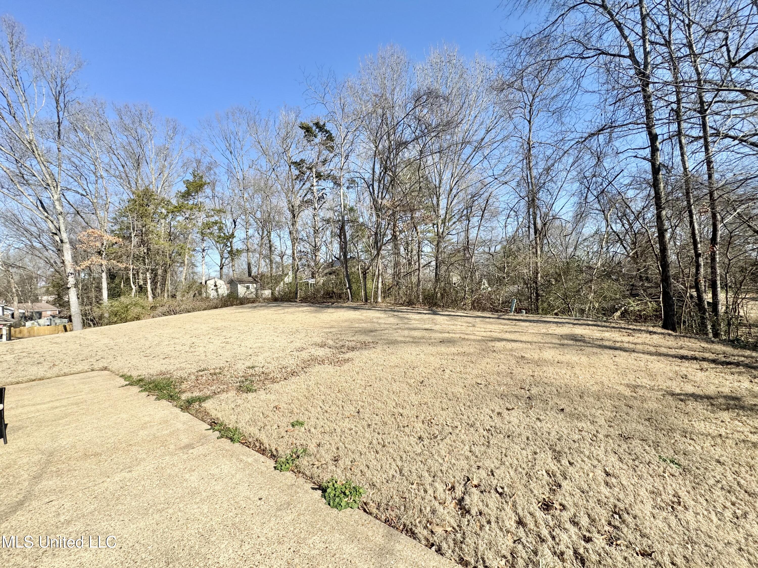 2640 Hickory Hill Drive, Nesbit, Mississippi image 33