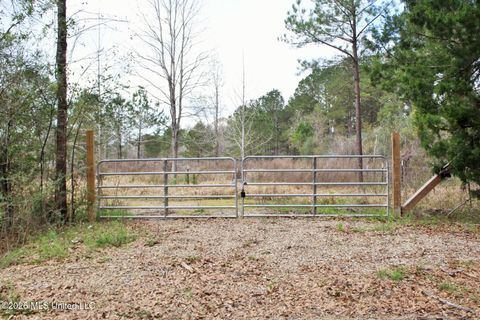 Vacant Land For Sale - 4.63AC White Road<br/> Lucedale, MS 39452