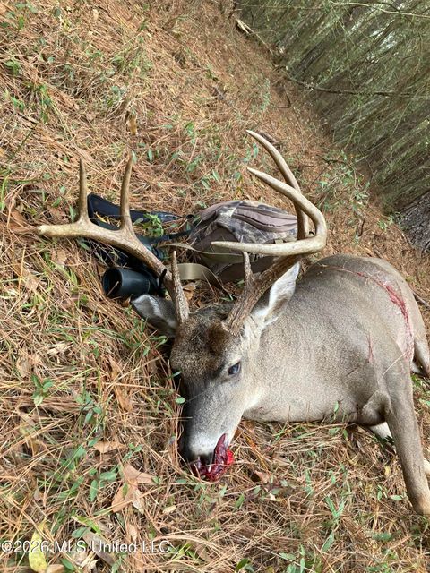 Vacant Land For Sale - Conerly Drive<br/> Pike County, McComb, MS 39648