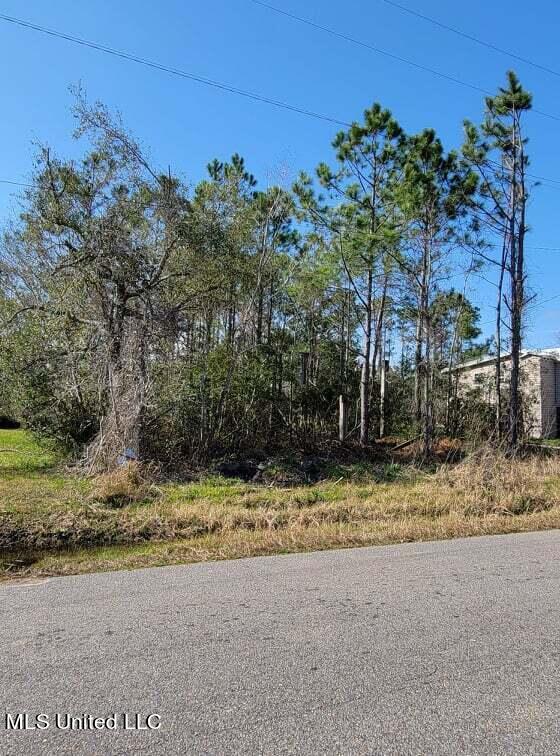10175 River Drive, Waveland, Mississippi image 1