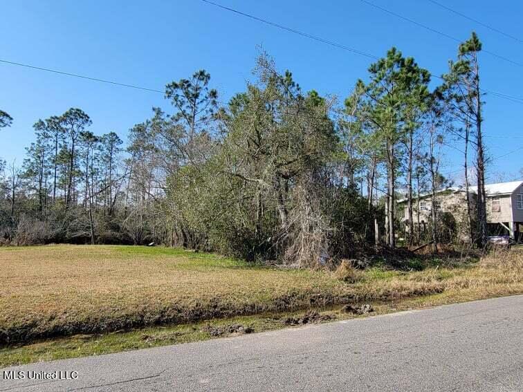 10175 River Drive, Waveland, Mississippi image 4