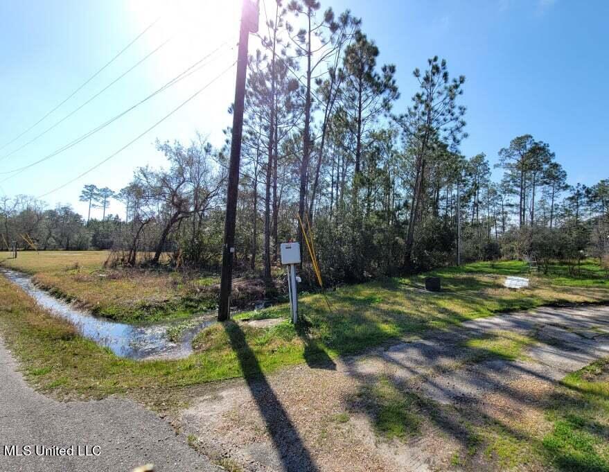 10175 River Drive, Waveland, Mississippi image 3