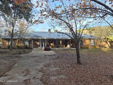 Homes For Sale - 739 Highway 487<br/> Leake County, Carthage, MS 39051
