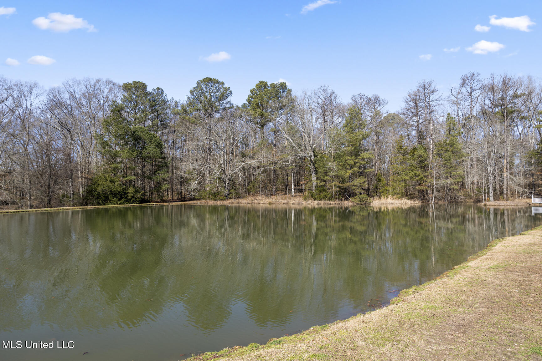 2150 Bill Downing Road, Raymond, Mississippi image 3