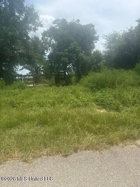 Vacant Land For Sale - 10028 E Bayou Road<br/> Hancock County, Bay Saint Louis, MS 39520