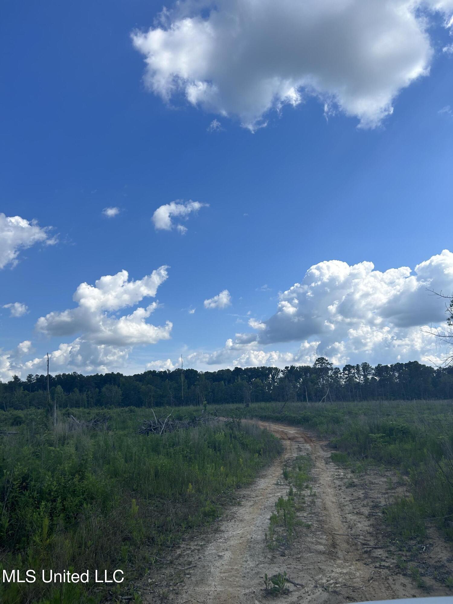 Pine Ridge Road Road, Lawrence, Mississippi image 5