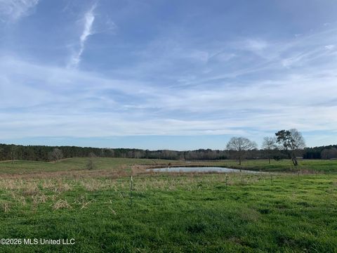 Vacant Land For Sale - 79 Adron Boyd Road<br/> Walthall County, Tylertown, MS 39667