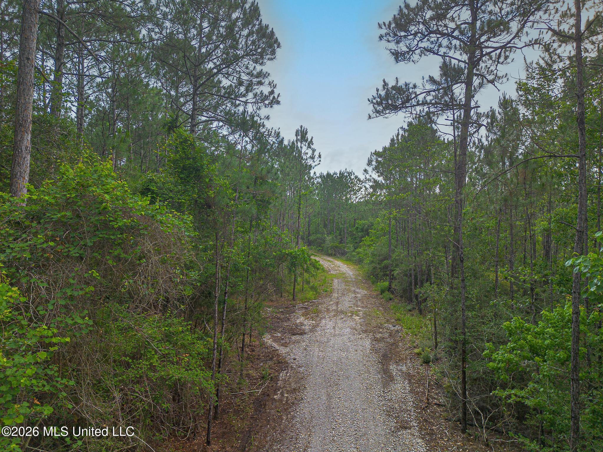 Parcel 2 Menge Avenue