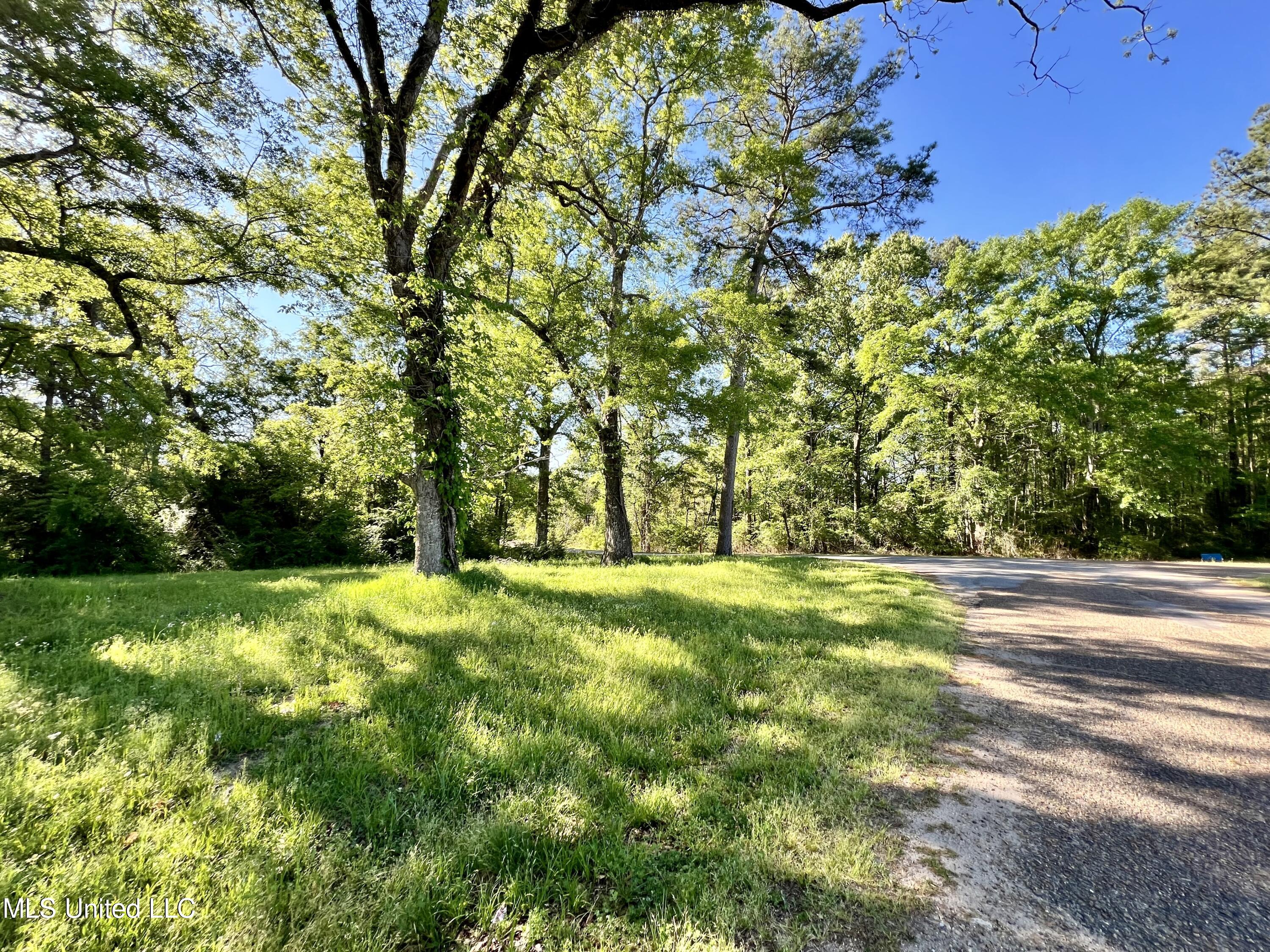 Municipal Dr/ Mcdaniel St, Centreville, Mississippi image 3