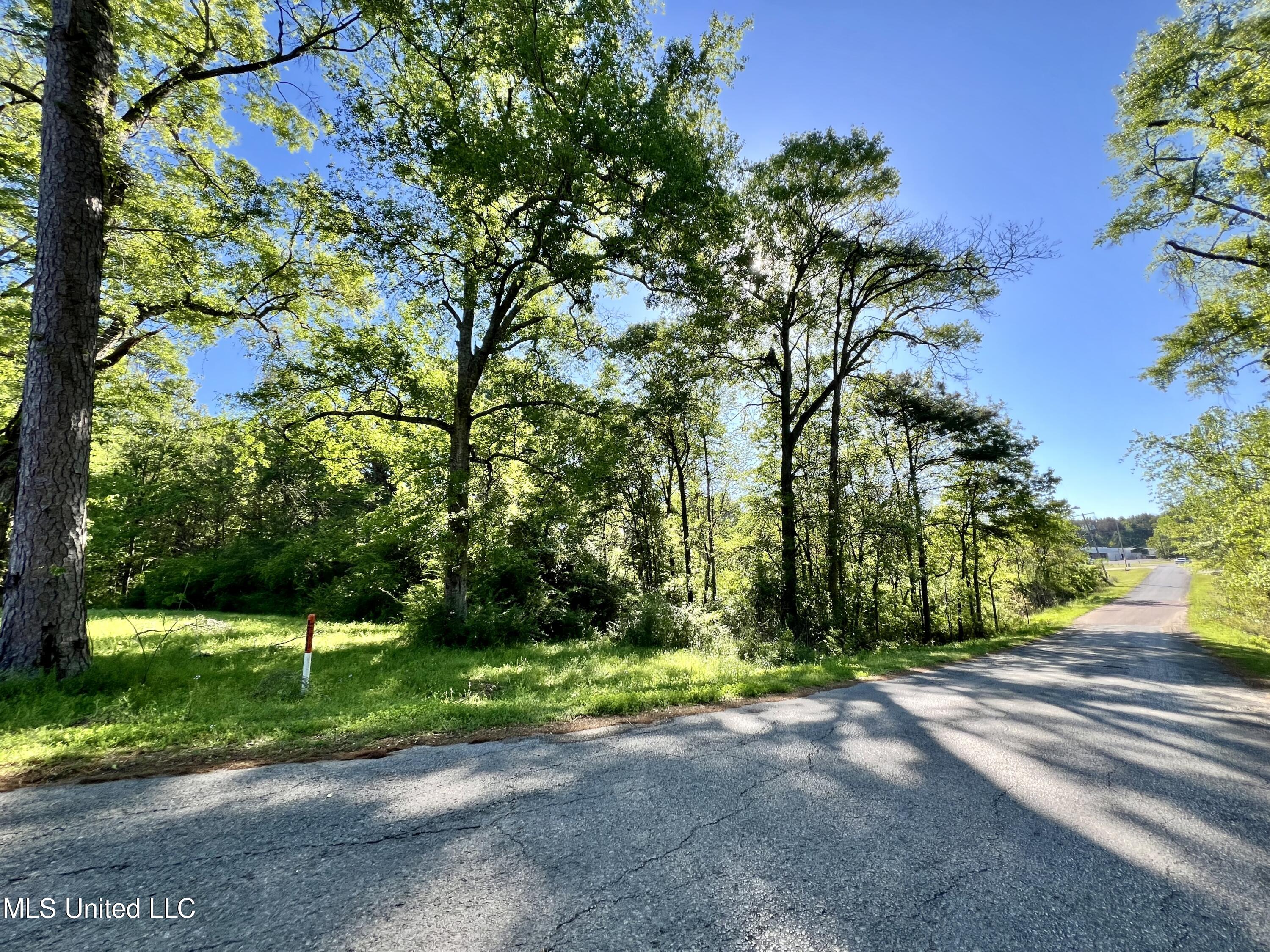 Municipal Dr/ Mcdaniel St, Centreville, Mississippi image 8